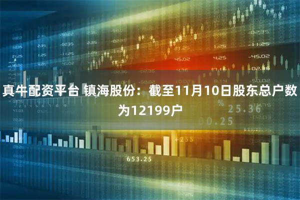 真牛配资平台 镇海股份：截至11月10日股东总户数为12199户