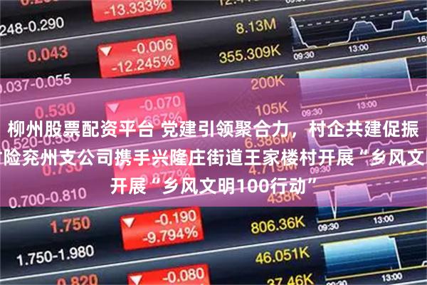 柳州股票配资平台 党建引领聚合力，村企共建促振兴——平安财险兖州支公司携手兴隆庄街道王家楼村开展“乡风文明100行动”