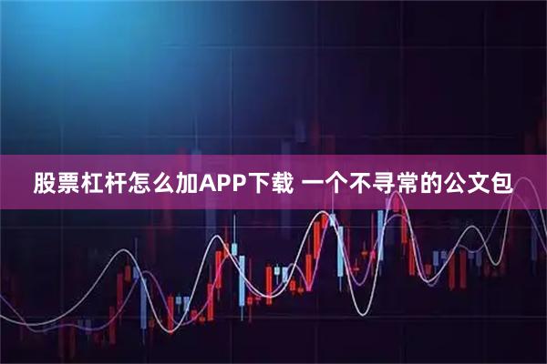 股票杠杆怎么加APP下载 一个不寻常的公文包